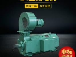 Z4-225-31 132KW直流电机 西玛电机 西安电机 电机配件